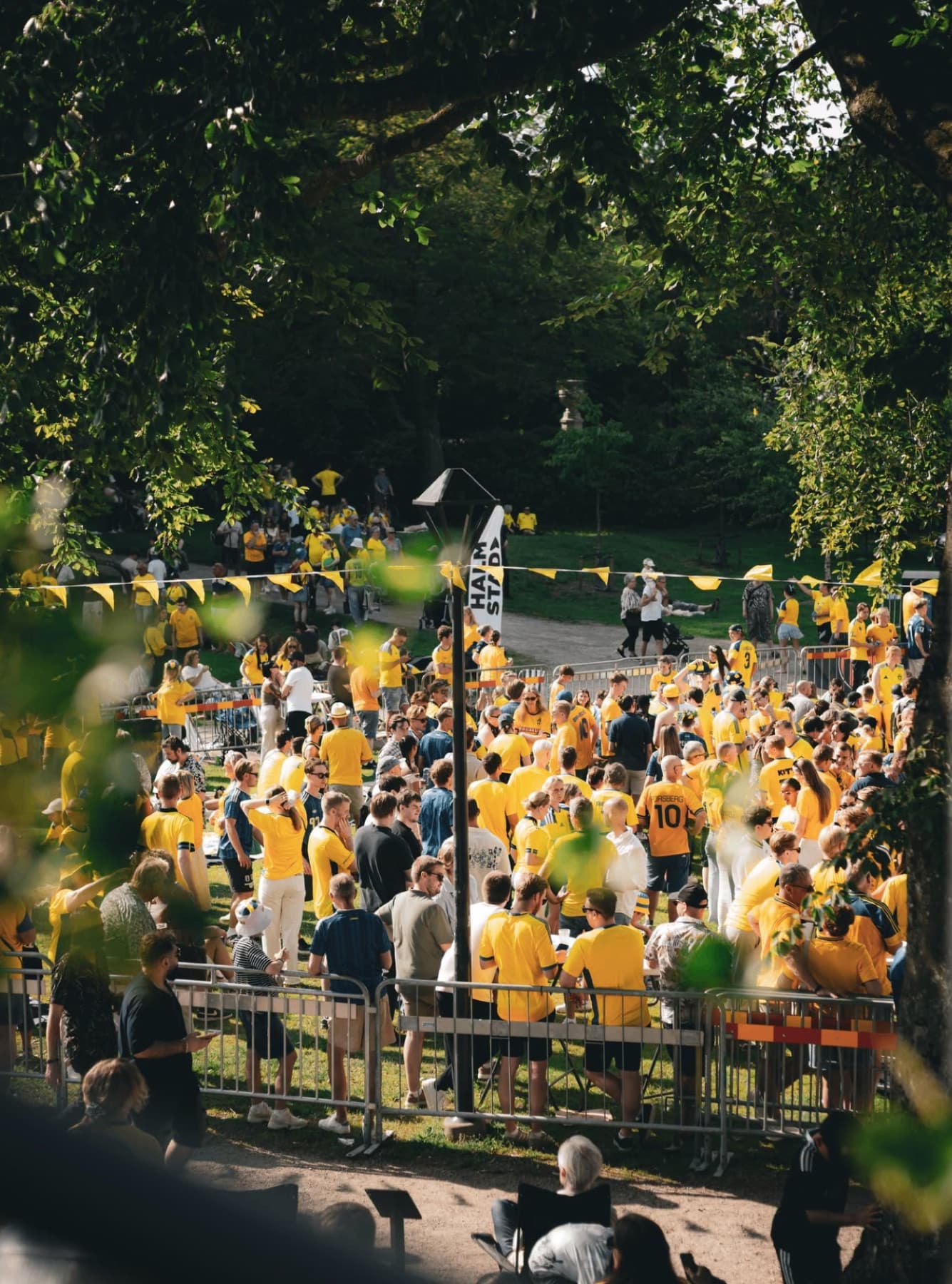 Supportrar i gult samlas i parken före match